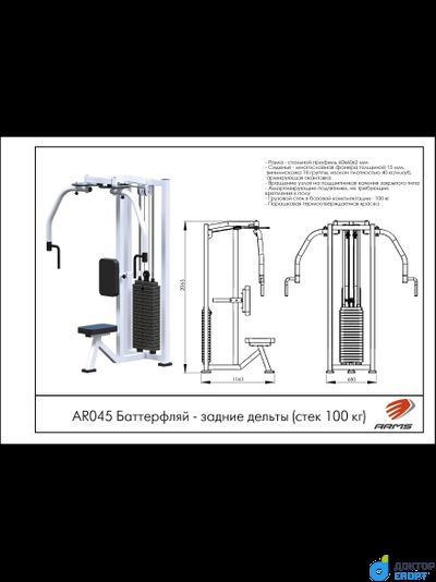 Баттерфляй-задние дельты (стек 100 кг)