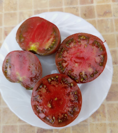 Томат Занавес Маргарет (Margaret Curtain, США)