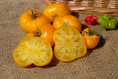 Томат Dwarf Rumpelstiltskin (Гном Румпельштильскин), 10 шт