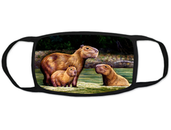 Тканевая маска на лицо Капибара, Kapibara-san №8