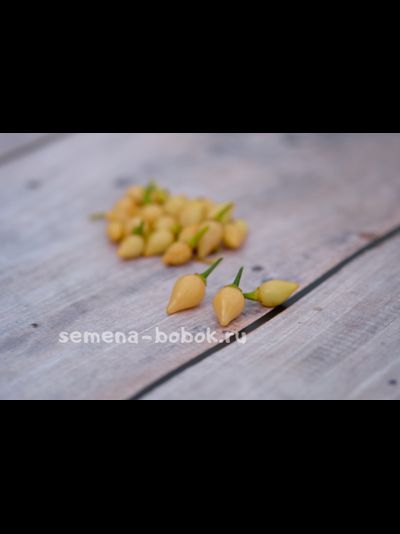 Перец острый BIQUINHO SALMON, 10 шт