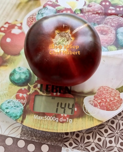 Томат Шеф Юбер (Chef Hubert)