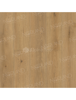 SPC ламинат Grand Sequoia Village Макадамия ECO 11-1007