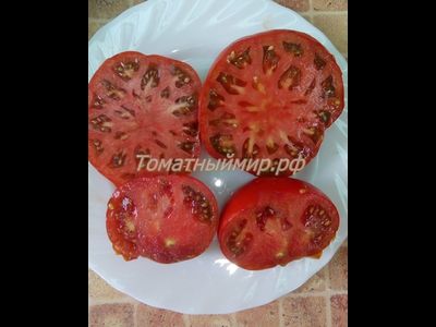 Томат Гном Кардинал Маура (Dwarf Maura’s Cardinal, США, Австралия)