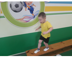 Физическое развитие детей раннего возраста