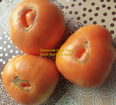 Томат Золотой тети Герти (Aunt Gertie’s Gold) США