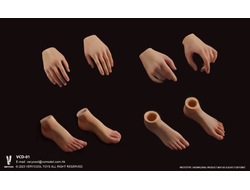 Супер-подвижное бесшовное женское тело (ТЕЛОИД) 1/6 - Articulated Silicone Medium Bust Female Body (VCD-01A) - VERYCOOL