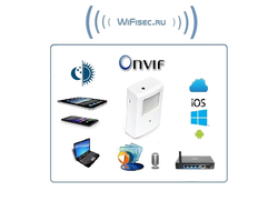 Охранная IP WiFi-LAN видеокамера с ночным видением и аудиоканалом (корпус ИК датчика), встроенный DVR. HD