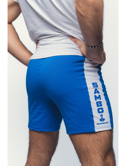 Шорты для самбо ВФС BRAVEGARD Победа синие