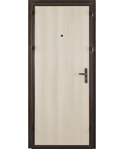 Дверь СПЕЦ PRO BMD