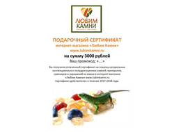 Подарочный сертификат на 3000 рублей