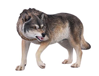 Дикий волк (серый) - Коллекционная фигурка 1/6 Direwolf Figurine (JXK242A) - JXK