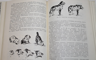 Карлов Г.Н. Изображение птиц и зверей. М.: Просвещение. 1976г.