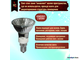 Paulmann Halogen ALU Reflector PAR16 35w 230v E14