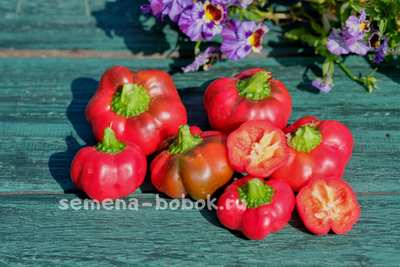 Перец сладкий Sheepnose Pimento (Овечий нос), 10 шт