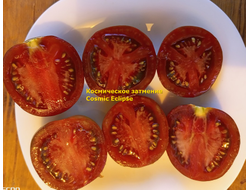 Томат Космическое затмение (Cosmic Eclipse)