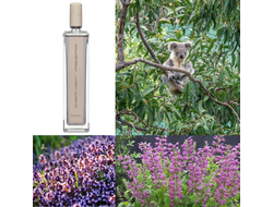 Serge Lutens Point Du Jour