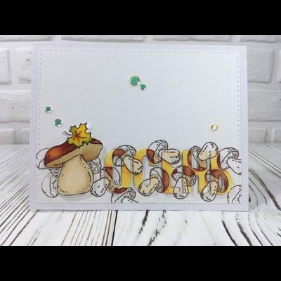 ФП штамп "Боровички"