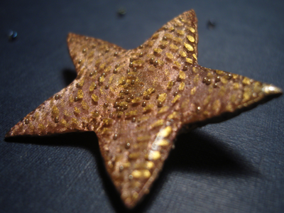 Праздничная брошь "Светит звёздочка с небес" (рождественская серия)