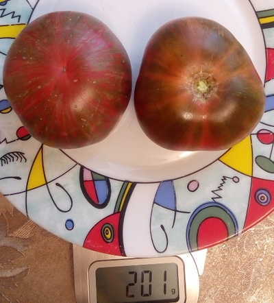 Томат Королева Миссисипи (Mississippi Queen)