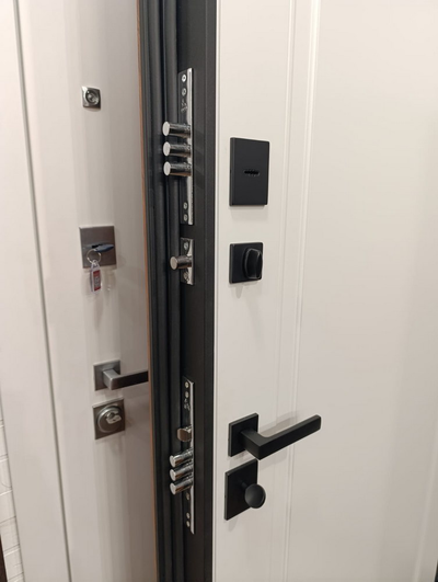 Стальная дверь   Plata