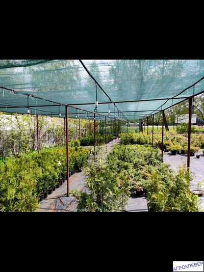 Дождеватель туманообразующий красный, 72,2-109,7л/ч, радиус 1,1-1,2м