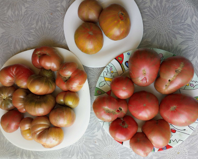 Мятные полосы, Гунн металл грей, Малиновая нерка