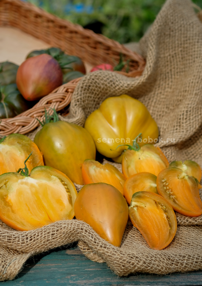 Томат Severe Melon (Суровая Дыня немцев Поволжья), 10 шт