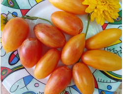 Томат Розовый тигр (Artisan pink tigr)