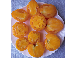 Томат Ранний оранжевый Розали (Rosalie’s early orange), США