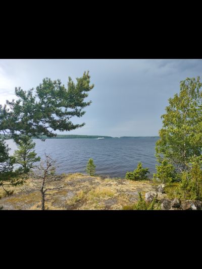 Пешая прогулка "Щельга: ледниковое прошлое Заонежья"