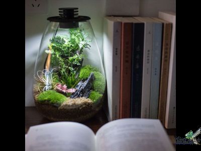 Биобутылка Biolark LED SD175 (175мм х 230мм)