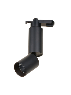 svetilnik-trrekovyi-svetodiodnyi-dlp-10w