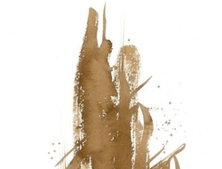 ПАЛОЧКИ КОРИЦЫ - пигмент для татуажа Брови PMU, 15мл