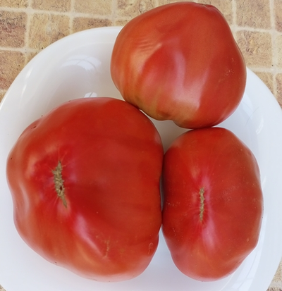 Томат Вишневый от Зуси (Zuzi)