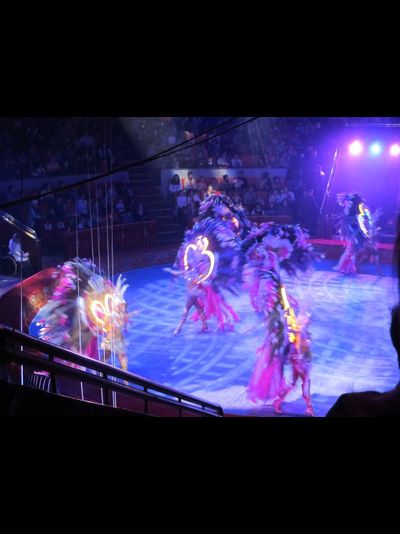 28 декабря – Брянск - цирк Аскольда Запашного - спектакль «Стойкий оловянный солдатик» + магазин Карачевской фабрики елочных игрушек + место сюрприз.