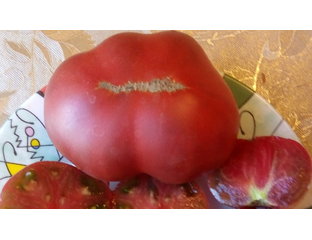 Томат Не Фиолетовая клубника (Not Purple Strawberry) - Томатный мир