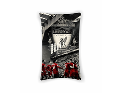 Подушка вертикальная Ливерпуль, Liverpool FC №17