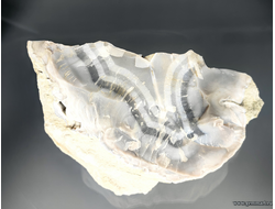 Агат, халцедон,  (разн. кварц). Россия. 155*100*80мм