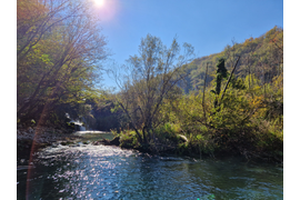 Поездка из Дубровника в Национальный парк Хорватии - Плитвицкие озёра. Комфортабельный автомобиль ( 1-4 чел.)