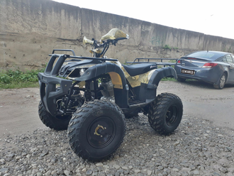 Купить Квадроцикл ATV 250 ADVENTURE