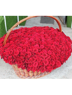 Композиция из 1001 розы