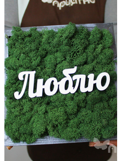 ЖИВАЯ ЭКО-КАРТИНА 1057