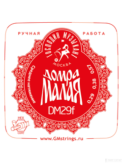 Господин Музыкант DM29F Profi