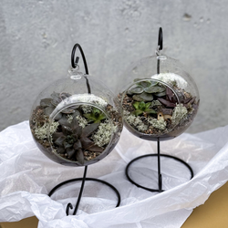 Флорариум подвесной