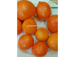 Томат Пан Томат