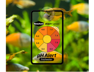 Seachem pH Alert - тест на pH для пресноводного аквариума ...