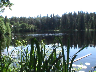 КИЖИ. ВАЛААМ. СОЛОВКИ. СВЯТОЙ ТРЕУГОЛЬНИК - 5 дней