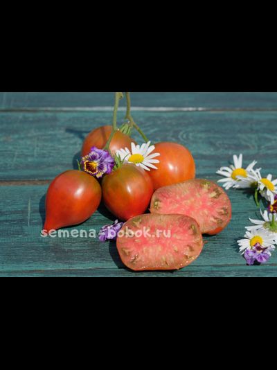 Томат Сердце Линнея (Linnaeus Heart), 10 шт