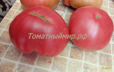 Томат Силезская малина (Schlesische Himbeere), Германия